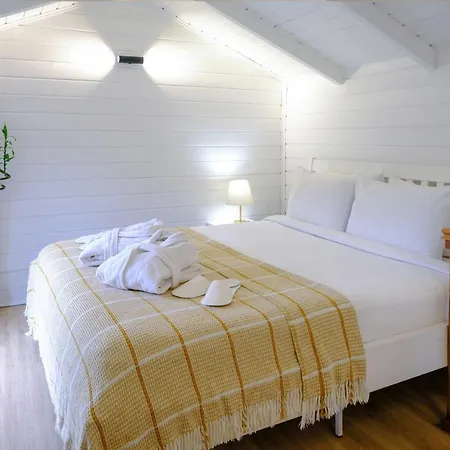 World Dreams Sapanca Hotel Sakarya (Marmara)